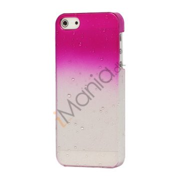 Vanddråbe Regndråbe Shade Hard Skin Case iPhone 5 cover - Rose