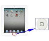 iPad 2 / 3 / 4 home-knap, hvid
