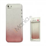 Gradient Color Regndråbe Hard Case til iPhone 5 - Rød