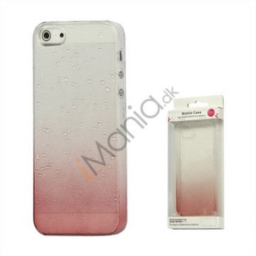 Gradient Color Regndråbe Hard Case til iPhone 5 - Rød