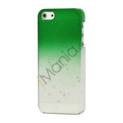Vanddråbe Regndråbe Shade Hard Skin Case iPhone 5 cover - Grøn